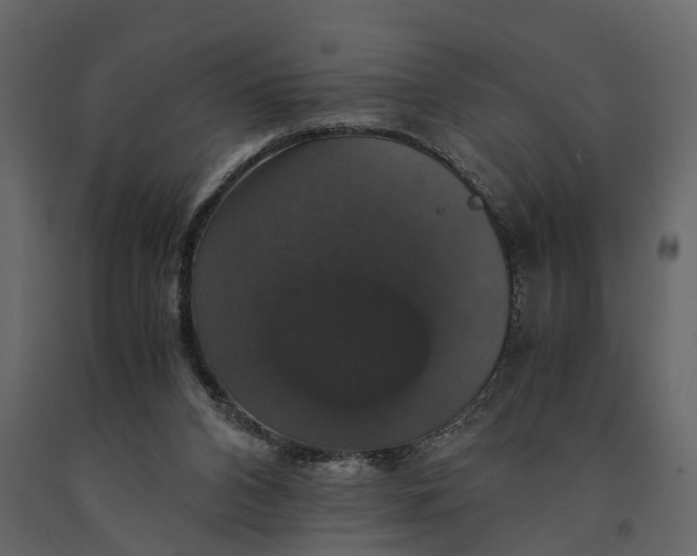 X0000091080112200708271244