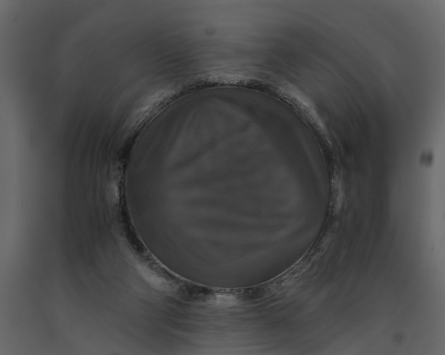 X0000091080114200708271244