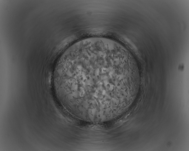 X0000091080115200708271244