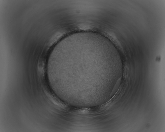 X0000091080116200708271244