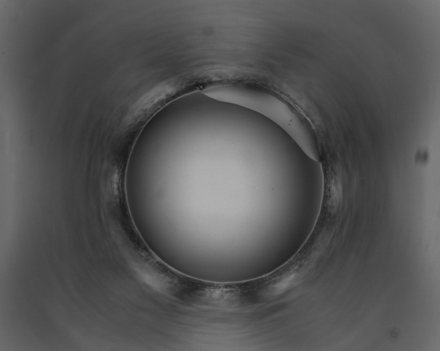 X0000091080117200708271244