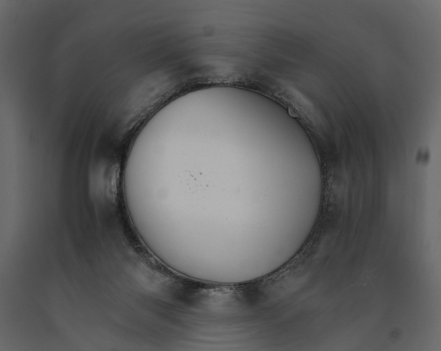 X0000091080118200708271244