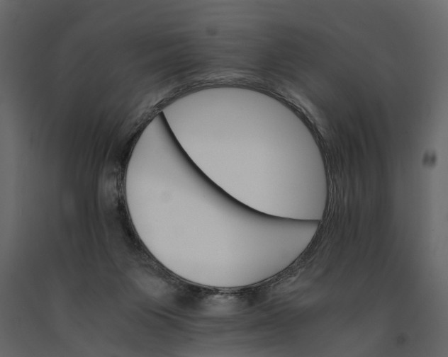 X0000091080119200708271244