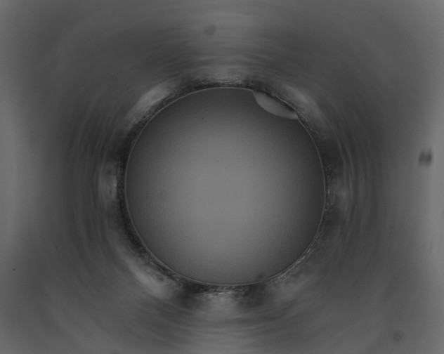 X0000091080120200708271244