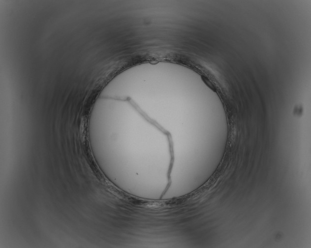 X0000091080121200708271244