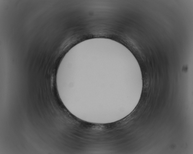 X0000091080124200708271244