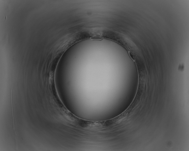 X0000091080125200708271244