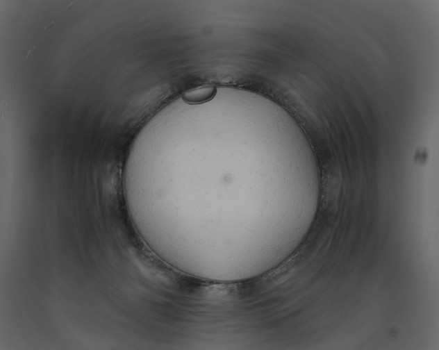 X0000091080126200708271244