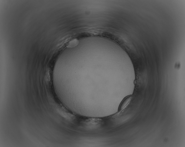 X0000091080128200708271244