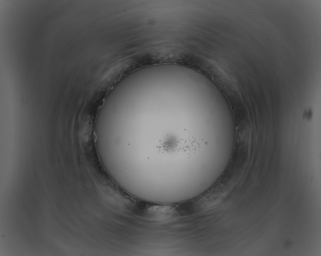 X0000091080133200708271243