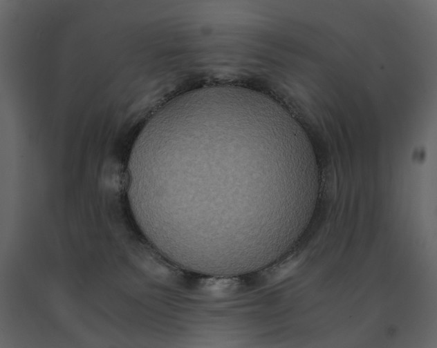 X0000091080135200708271243