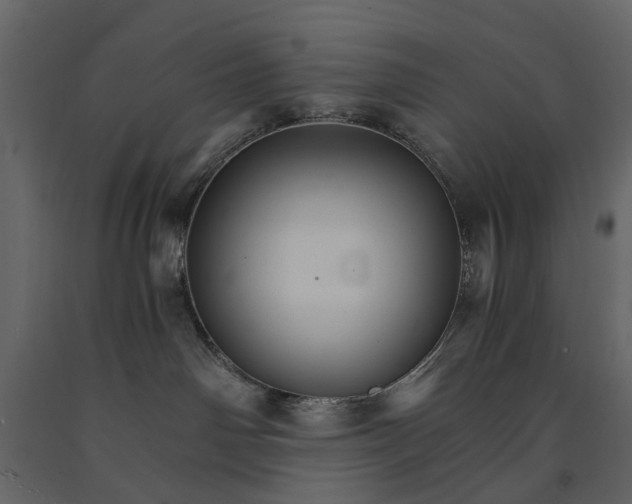 X0000091080142200708271243