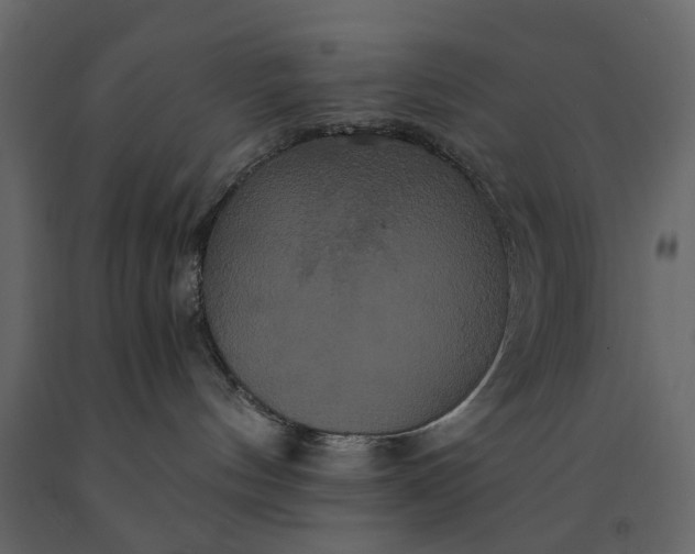 X0000091080144200708271243