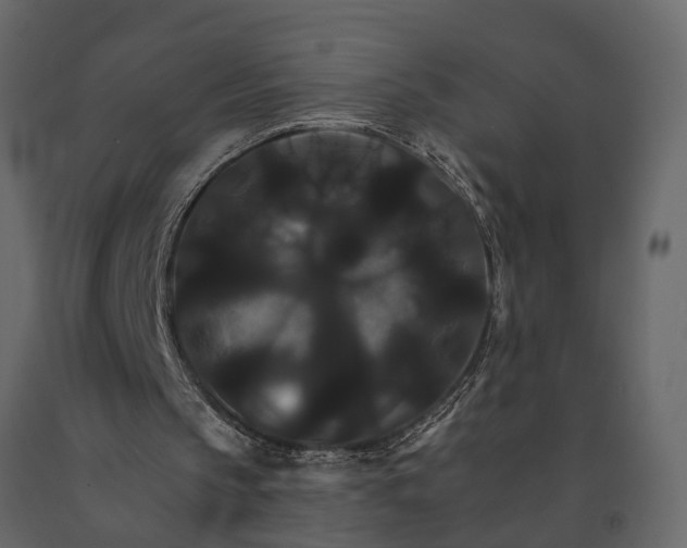 X0000091080145200708271243