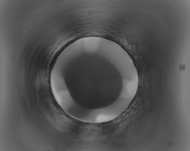 X0000091080146200708271243