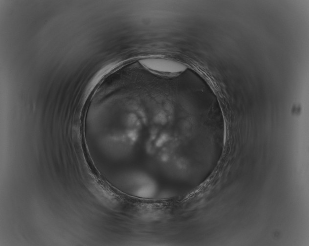 X0000091080147200708271243