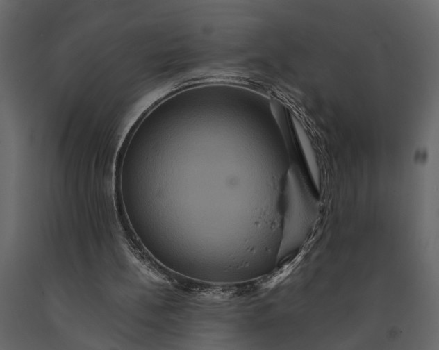 X0000091080148200708271243