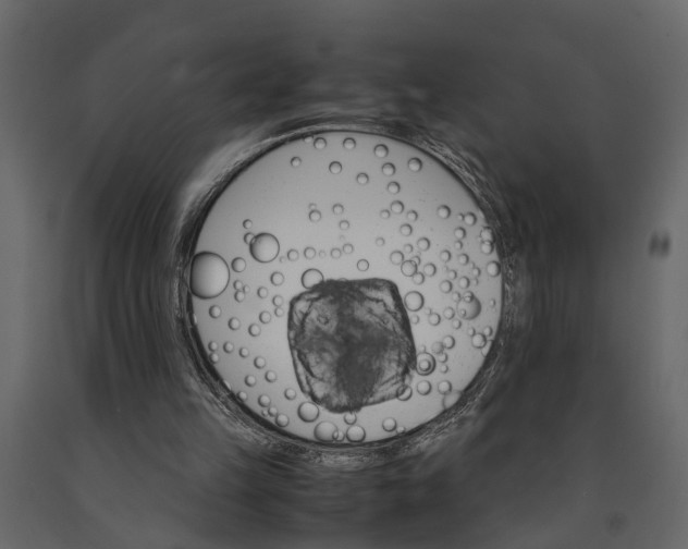 X0000091080149200708271243