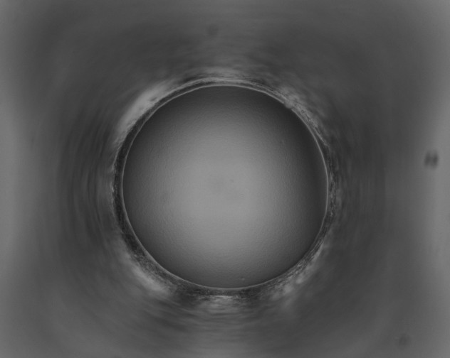 X0000091080151200708271243