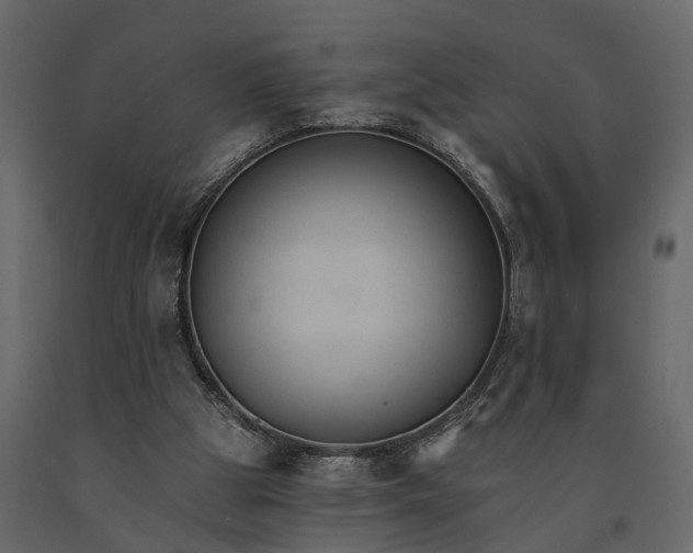 X0000091080153200708271243