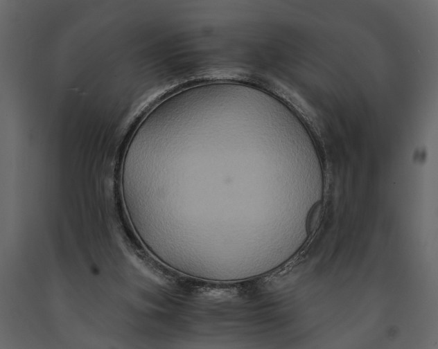 X0000091080155200708271243