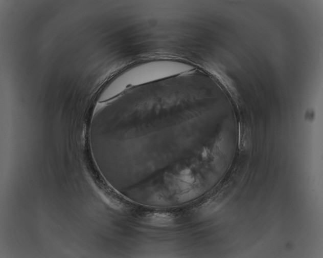 X0000091080157200708271243