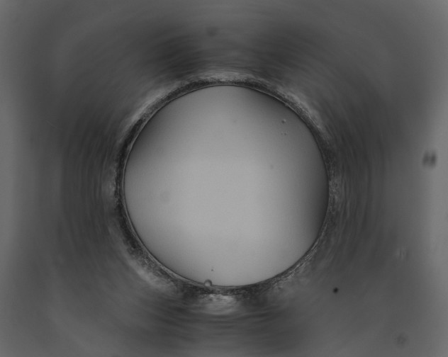 X0000091080159200708271243