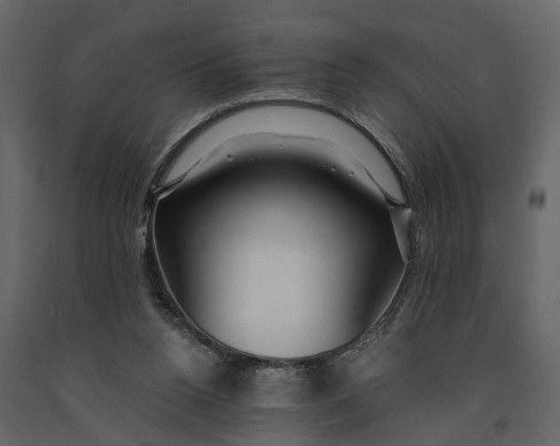 X0000091080160200708271243