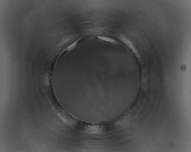 X0000091080161200708271243