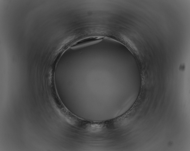 X0000091080163200708271243