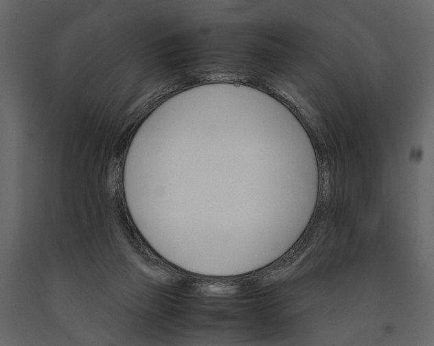 X0000091080165200708271243