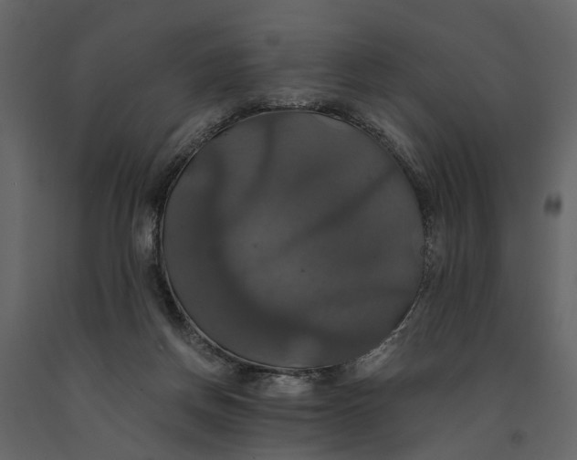 X0000091080166200708271243