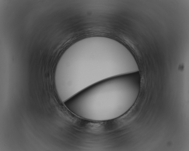 X0000091080170200708271243