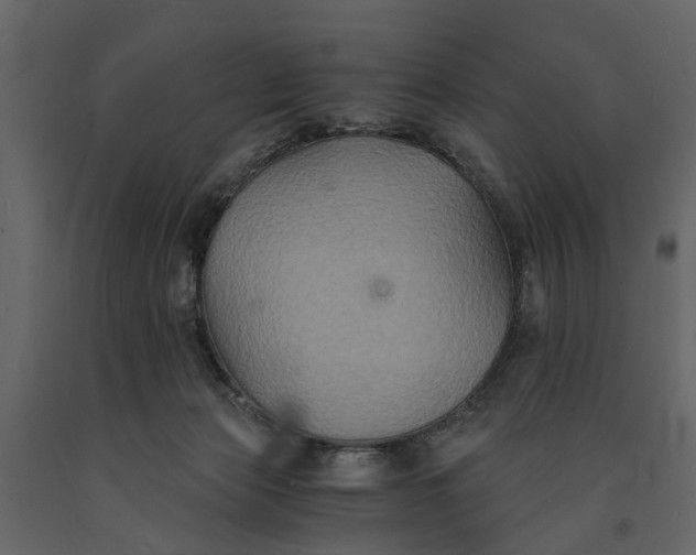 X0000091080173200708271243