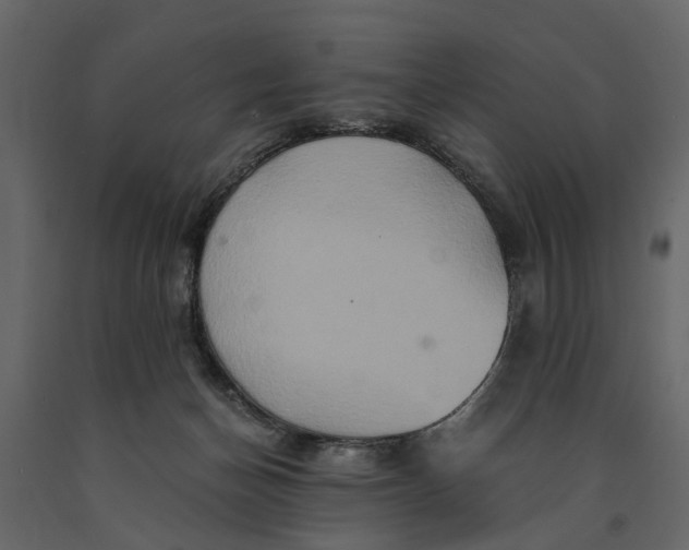 X0000091080174200708271243