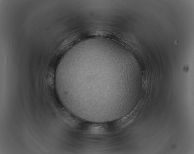 X0000091080175200708271243