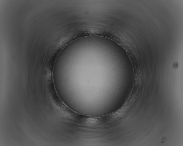 X0000091080176200708271243