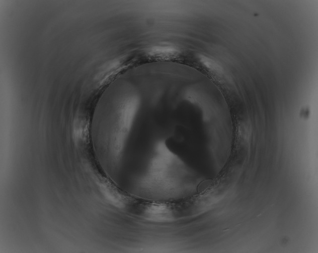 X0000091080177200708271243