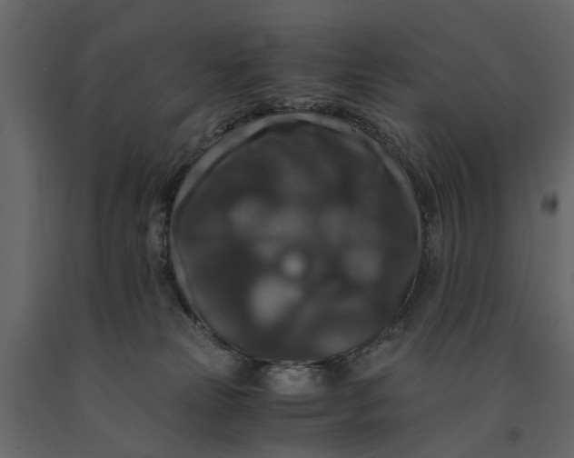 X0000091080181200708271243