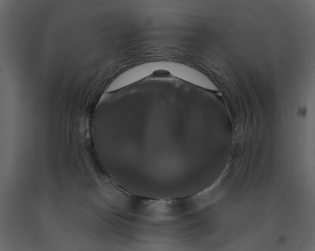 X0000091080182200708271243