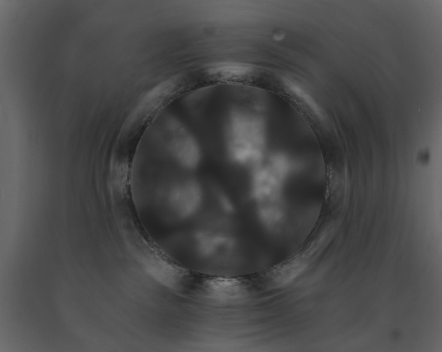 X0000091080189200708271243