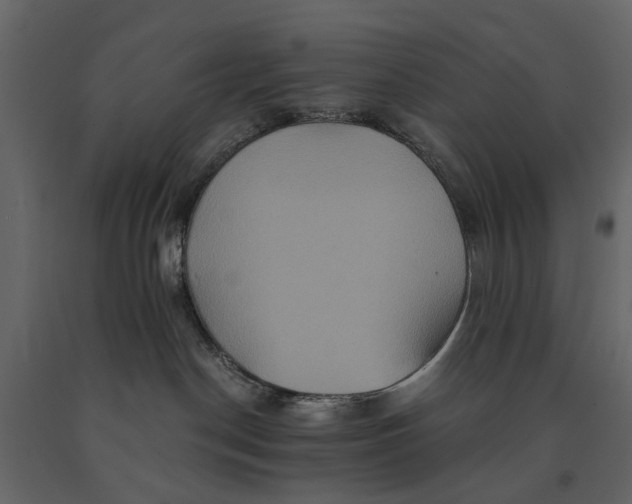 X0000091080190200708271243