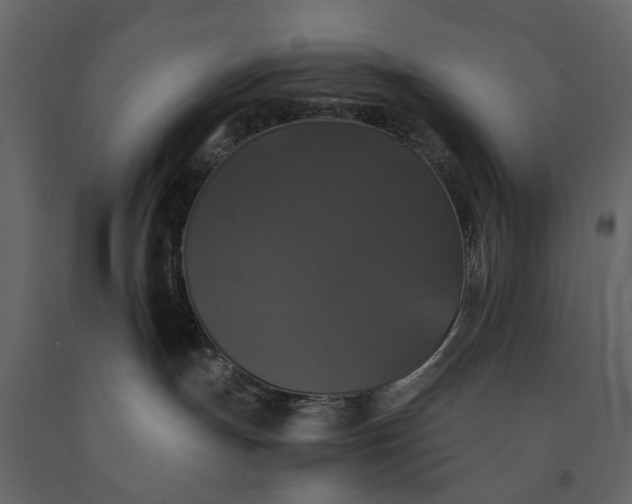 X0000091080191200708271243