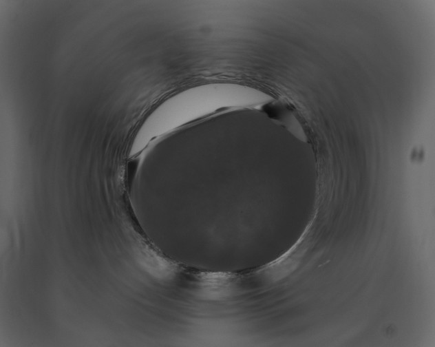 X0000091080192200708271243