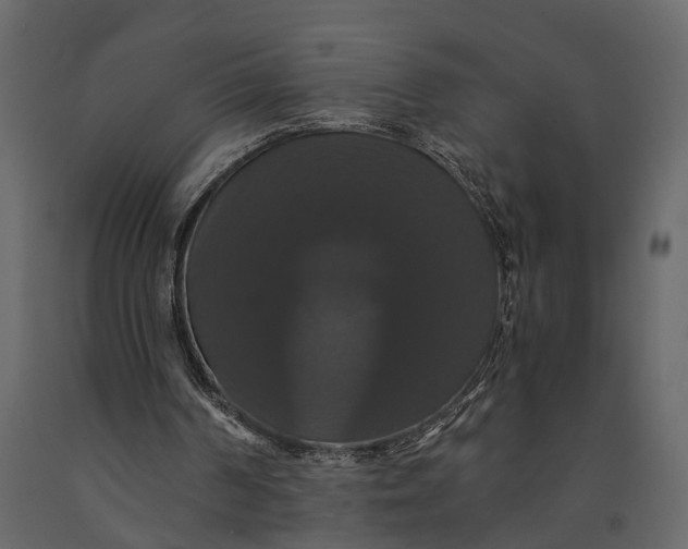 X0000091080194200708271243