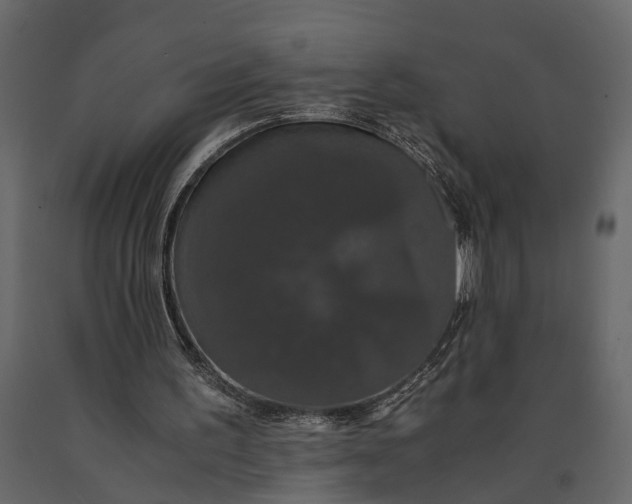 X0000091080195200708271243