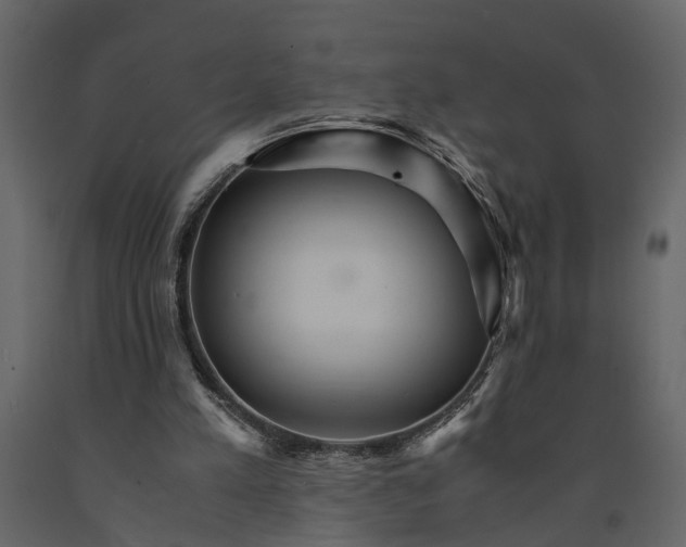 X0000091080197200708271243