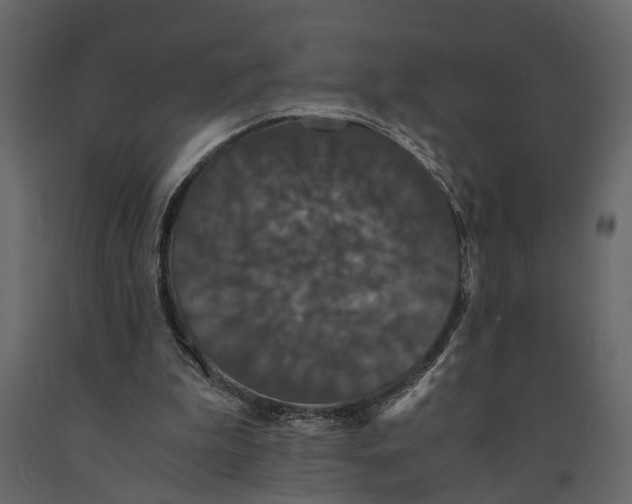 X0000091080199200708271243