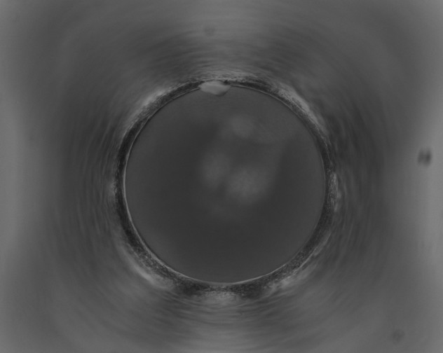 X0000091080203200708271243