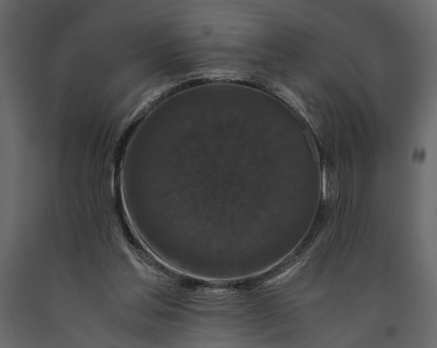 X0000091080205200708271243